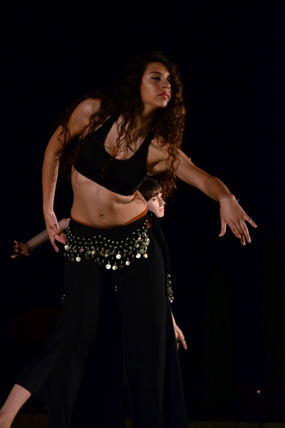 IDDL 2014 Gala Performance